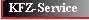 KFZ-Service1.jpg (1271 Byte)